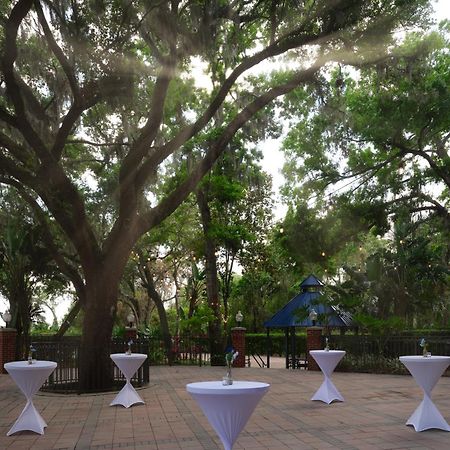 Hilton Garden Inn Tampa East/Brandon Mango Exterior foto